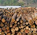 中国尚高木业有限公司