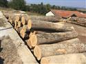 2016年9月新季节白橡原木 产地保加利亚