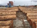 尚高木业供应旋切级巴西桉木，直径30以上去皮