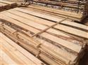 2015年8月供应ABC级桦木板材产地拉脱维亚 (三)