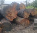 供应TALI logs 非洲塔利木300方数量15个货柜