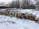 2017年2月供应AB级俄罗斯新鲜砍伐桦木原木货到满洲里(三)