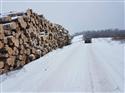 2017年2月供应AB级俄罗斯新鲜砍伐桦木原木货到满洲里（二）